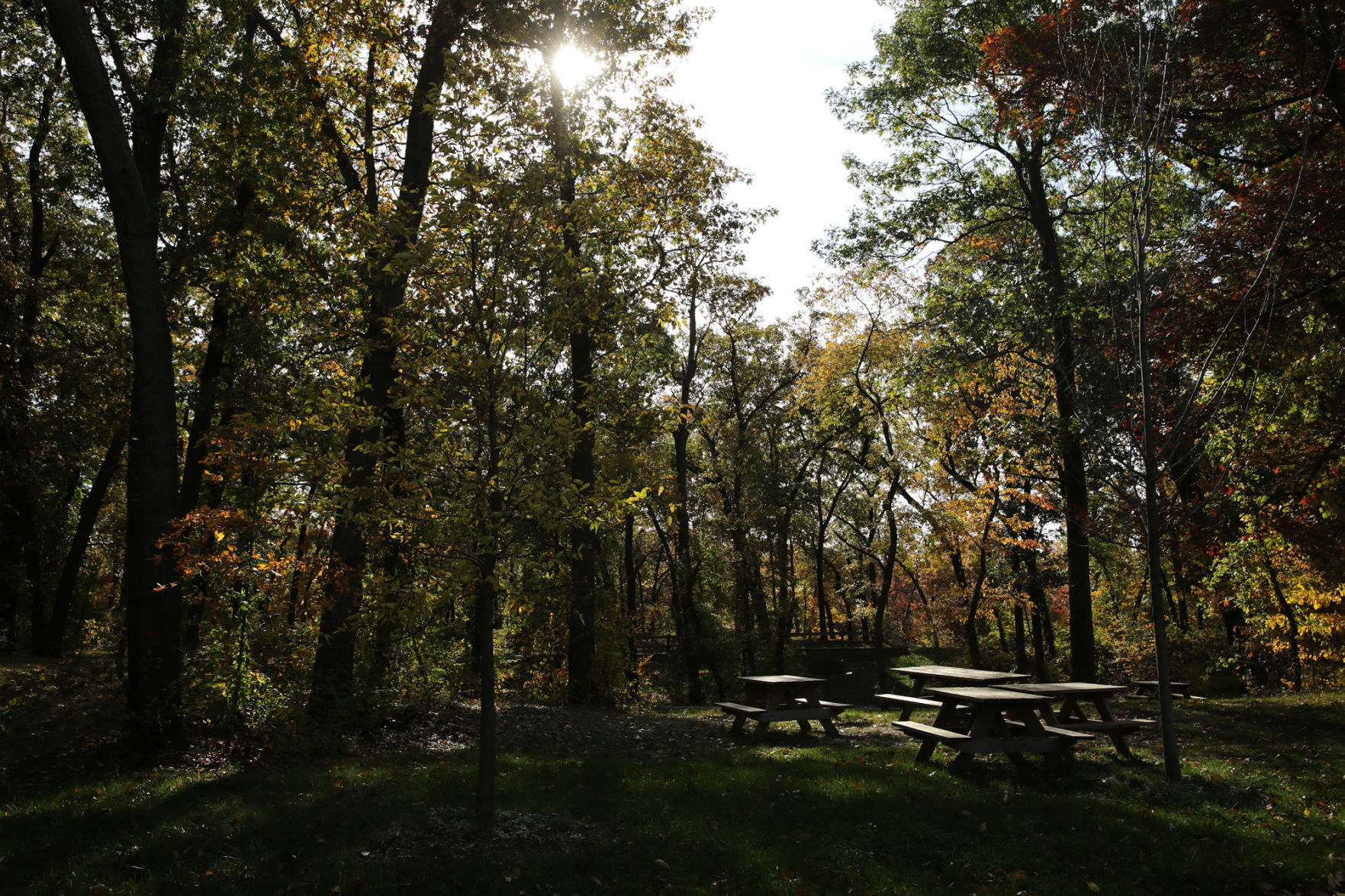 Indiana Dunes National Lakeshore